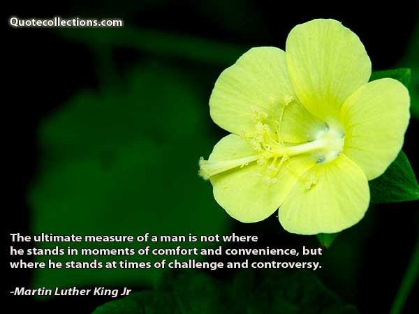 Martin Luther King, Jr. quotes2